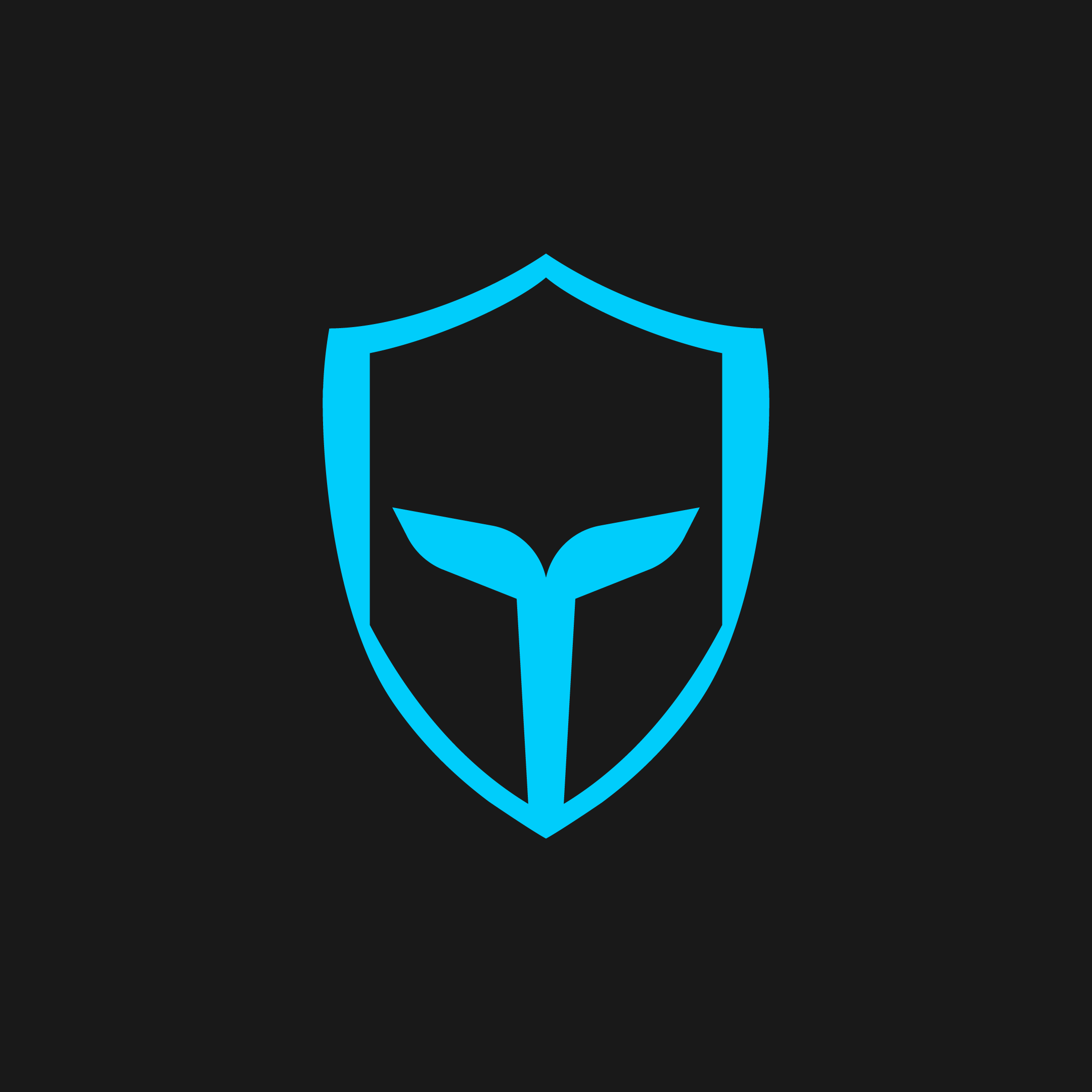 Awaiting product image